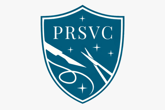 Plastic and Reconstructive Surgery Virtual Curriculum