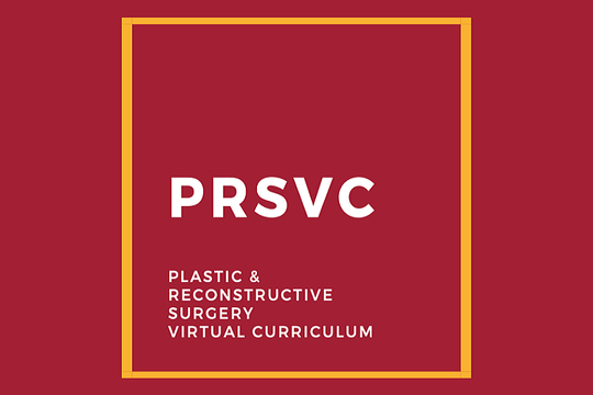 Plastic and Reconstructive Surgery Virtual Curriculum