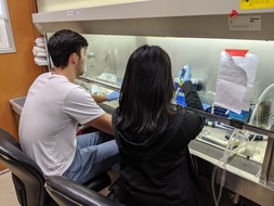 Teaching two of my summer students about cell culture techniques.